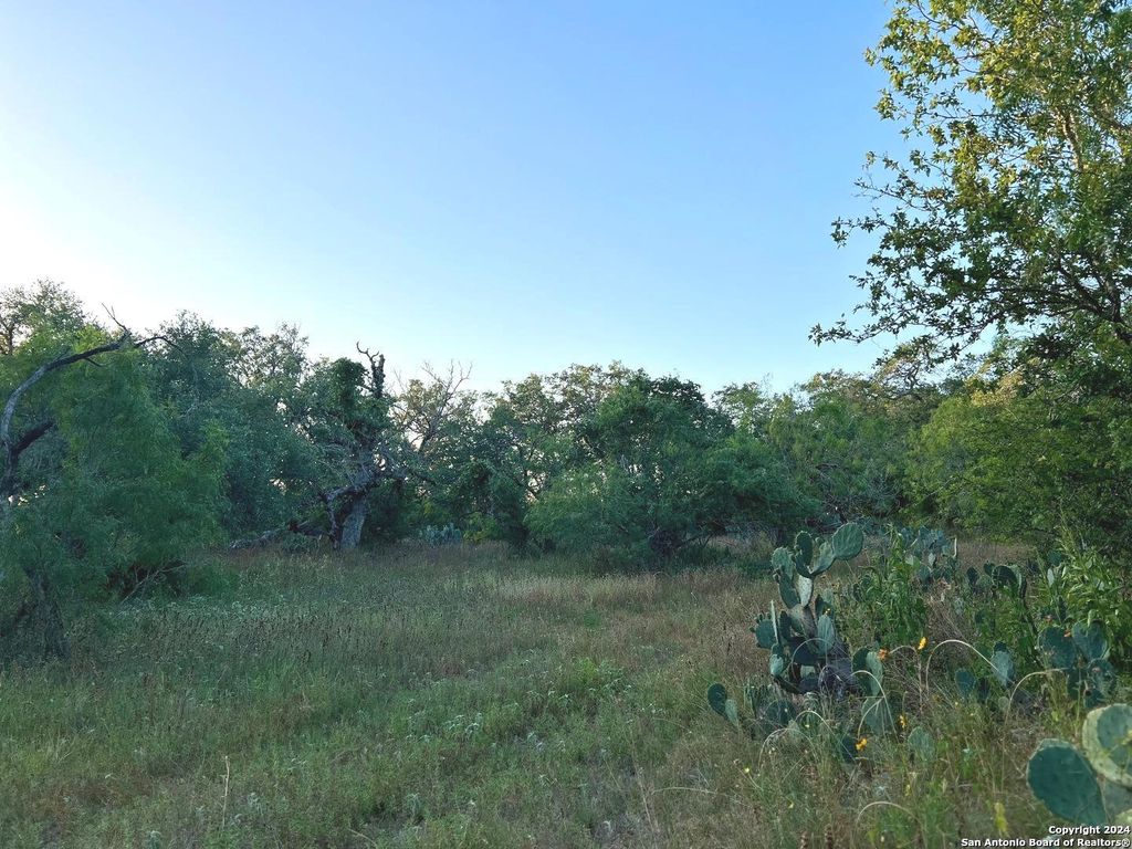Photo of TBD Bruce Rd., Pleasanton, TX 78064 (MLS # 1832430)