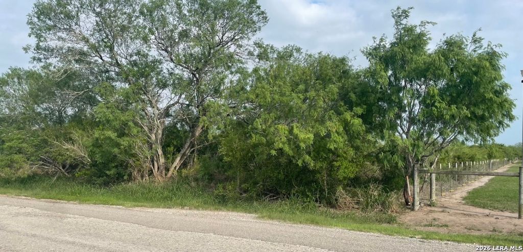 Photo of 00 CR 613, Skidmore, TX 78389 (MLS # 1964150)