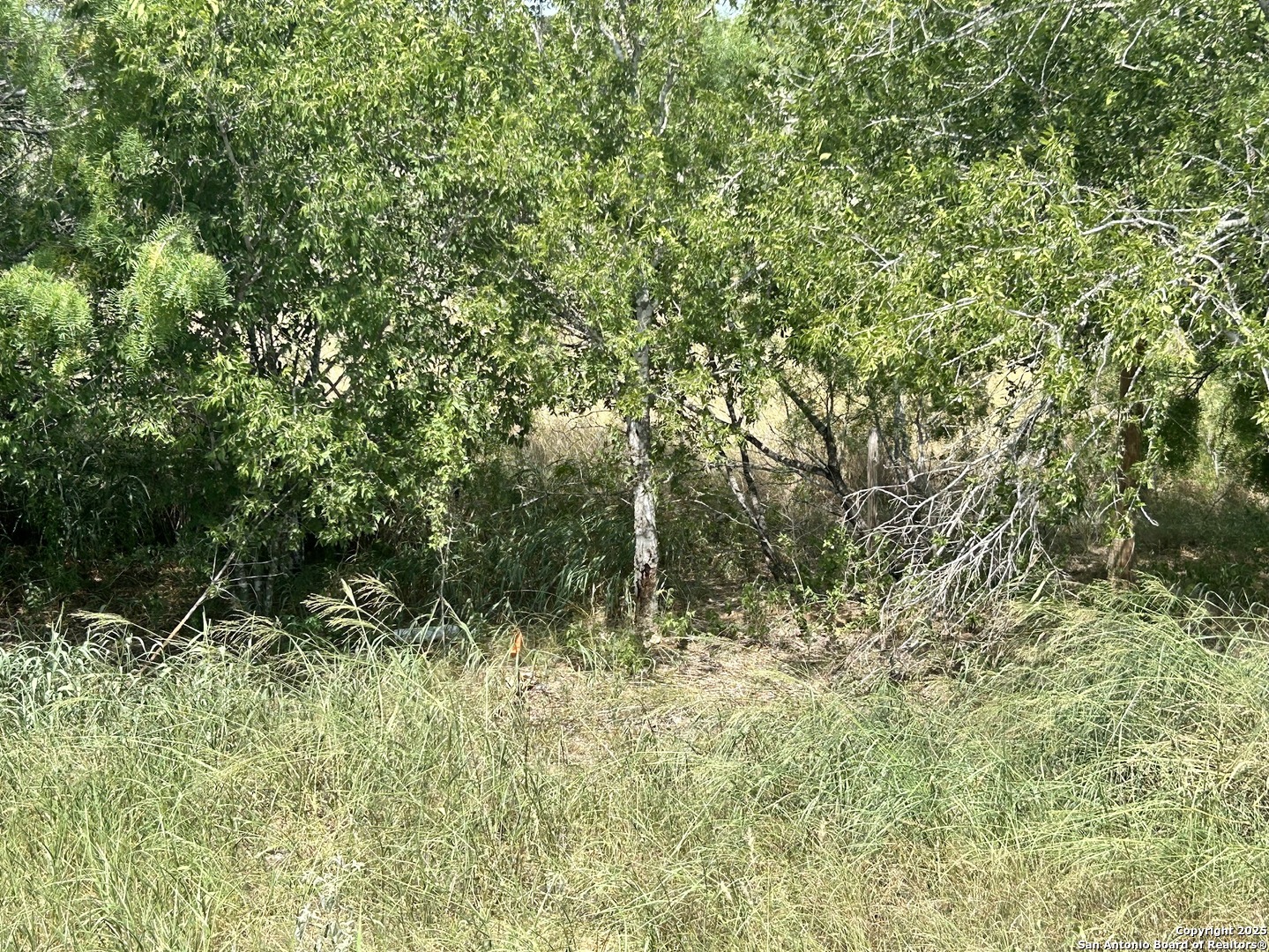 8774 N US Hwy 281