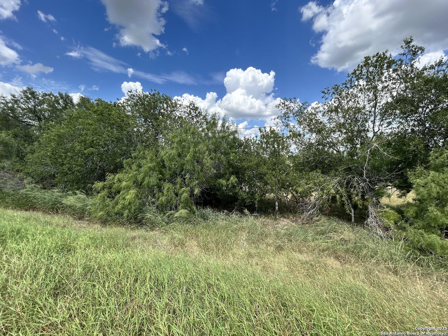 8774 N US Hwy 281