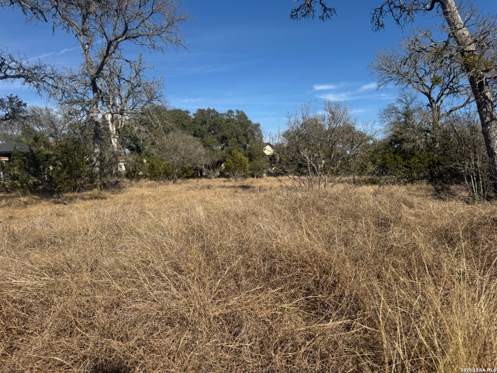 Photo 1 of 16 — 223 George Dolson, Blanco, TX 78606