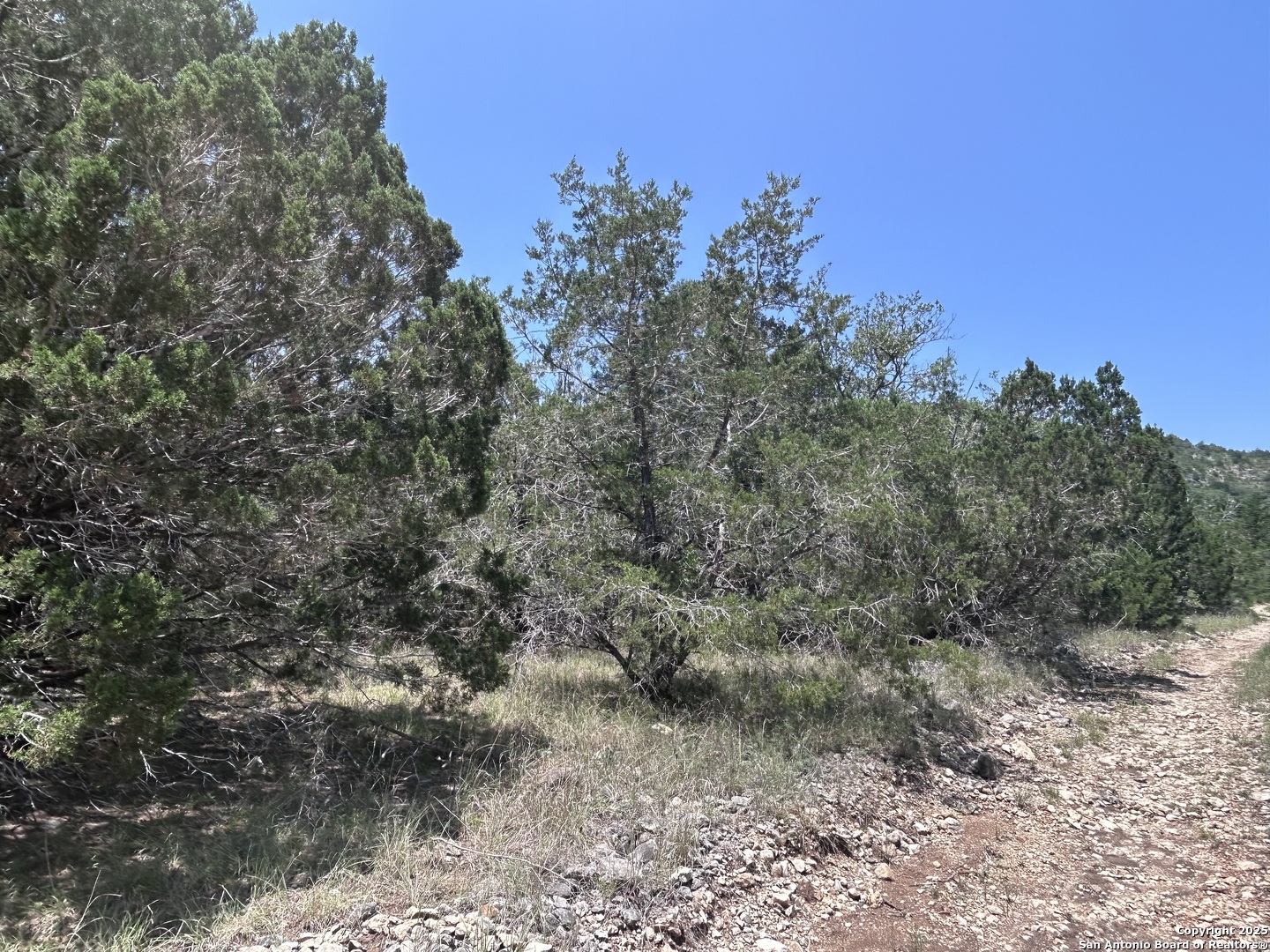 LOT 170 County Road 408