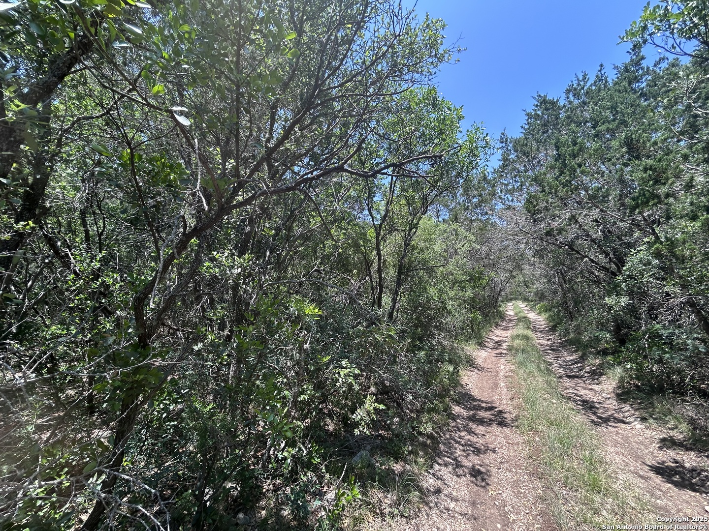 LOT 170 County Road 408