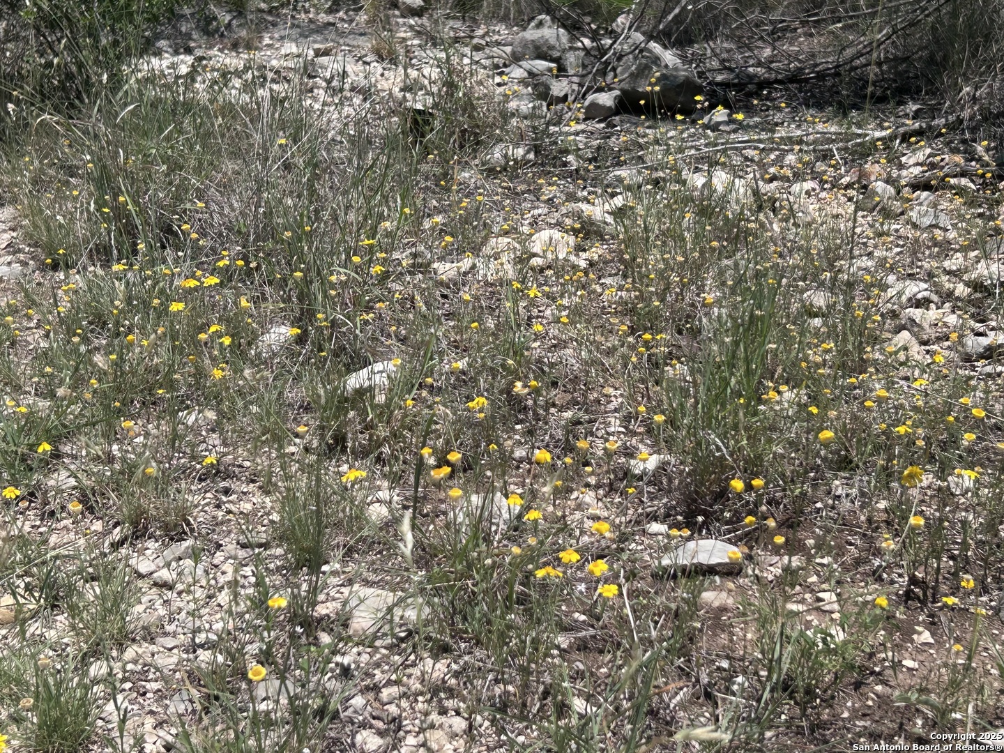 LOT 170 County Road 408