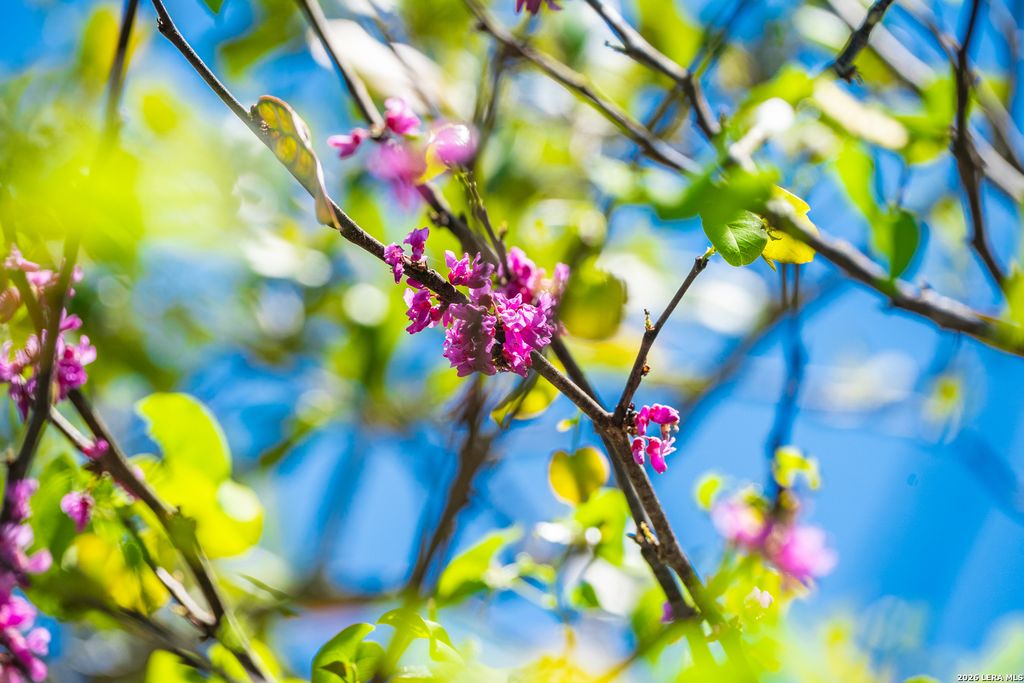 Photo of 0 Upper Balcones, Boerne, TX 78006 (MLS # 1957567)