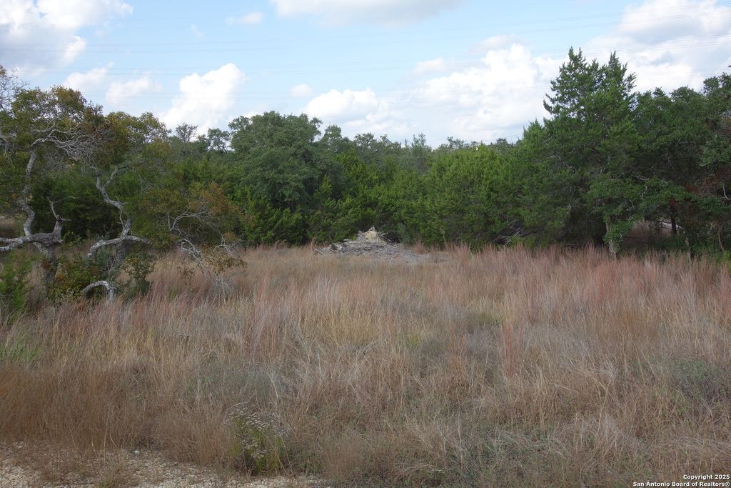 Photo of 850 Brand Rd, Bulverde, TX 78163 (MLS # 1925419)