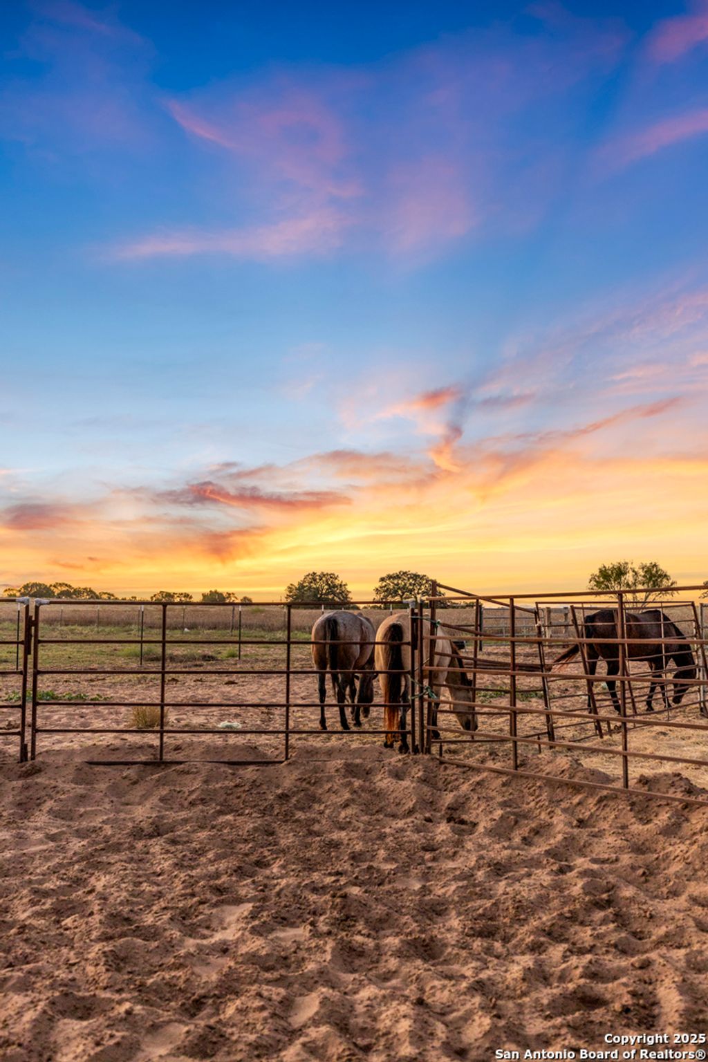 Photo of 14453 Fm 472, Devine, TX 78016 (MLS # 1911078)