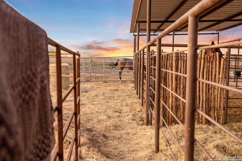 Photo of 14453 Fm 472, Devine, TX 78016 (MLS # 1911078)