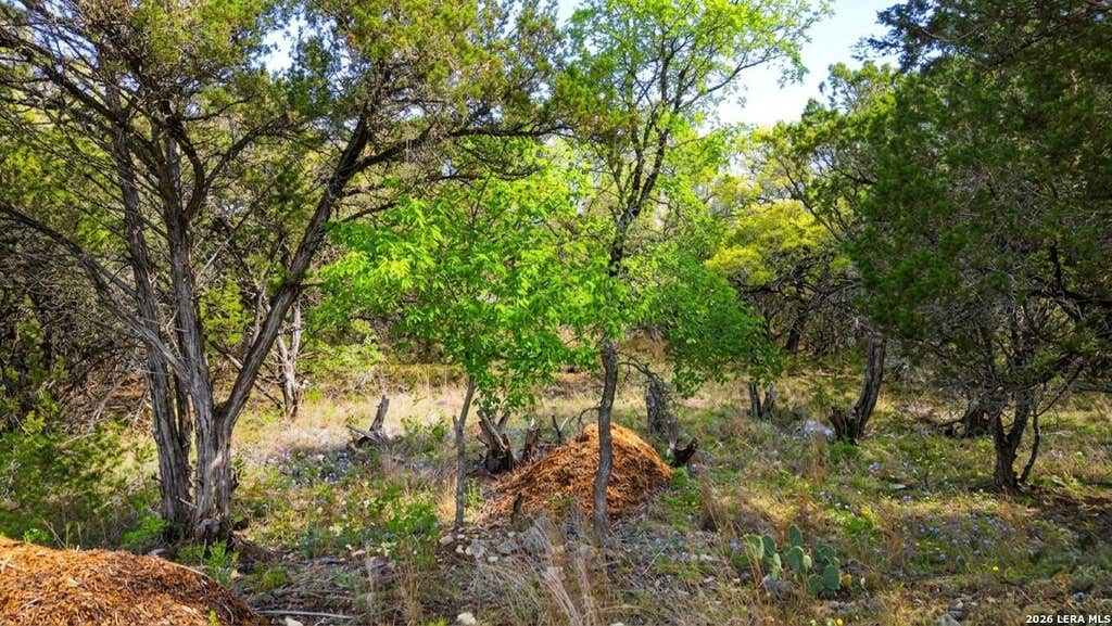 Photo of 37 Stardust, Wimberley, TX 78676 (MLS # 1957457)