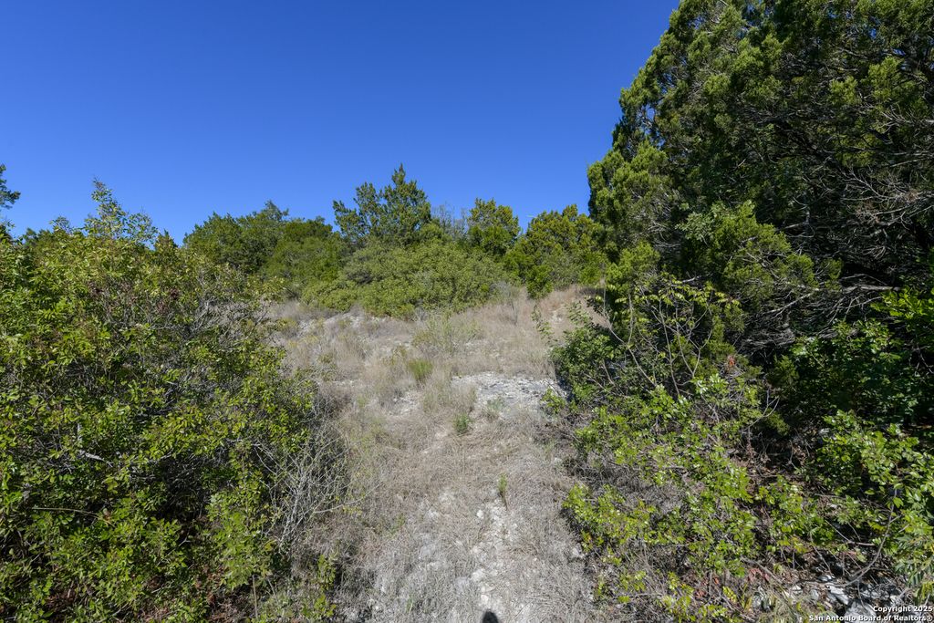 Photo of 11266 Condor Pass, Helotes, TX 78023 (MLS # 1928912)