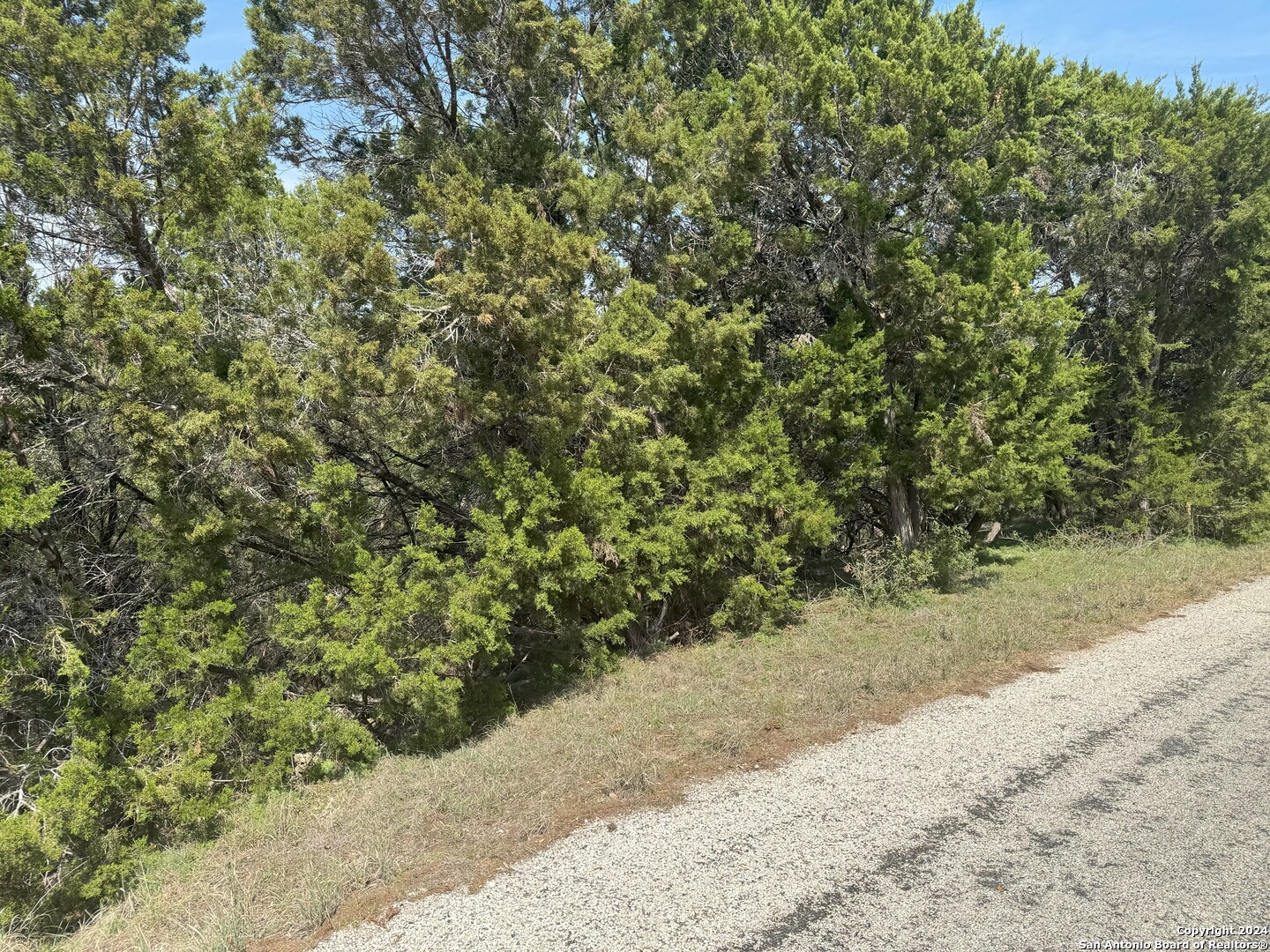 Photo 1 of 10 — 413 CEDAR DR, Canyon Lake, TX 78133