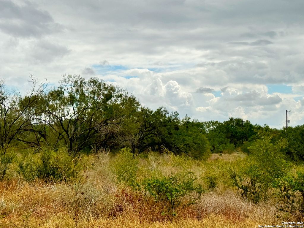 Photo of 103 CR 2636, Devine, TX 78016 (MLS # 1806259)