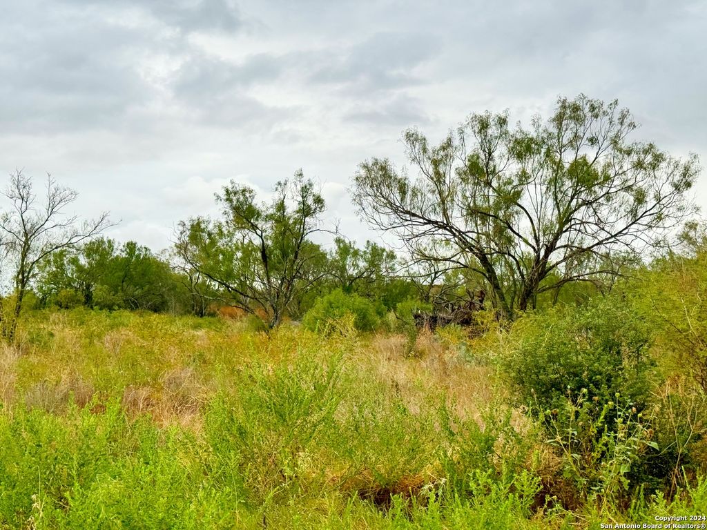 Photo of 103 CR 2636, Devine, TX 78016 (MLS # 1806259)