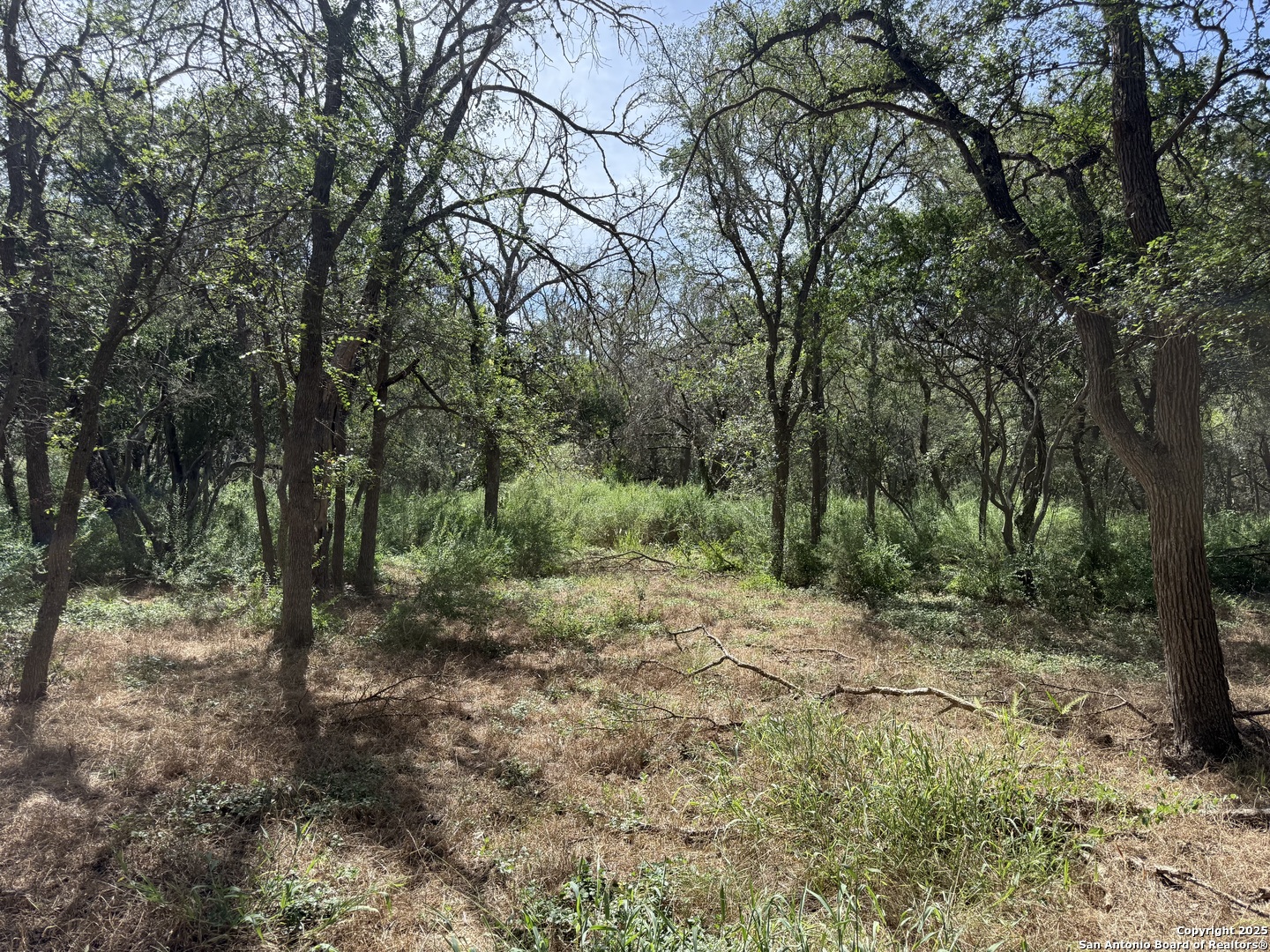 8403 Wild Wind Park