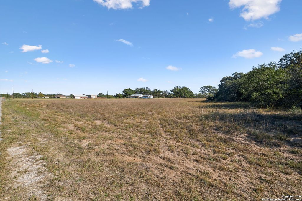 Photo of 246 SHAMROCK DR, Floresville, TX 78114 (MLS # 1824351)