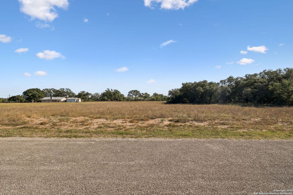 Photo of 246 SHAMROCK DR, Floresville, TX 78114 (MLS # 1824351)