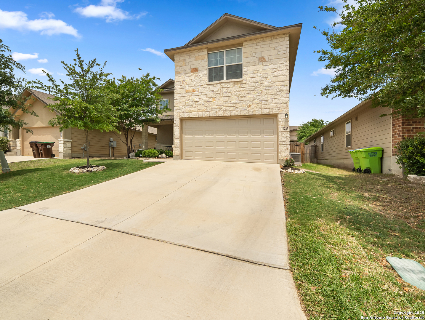 15223 Cinnamon Teal