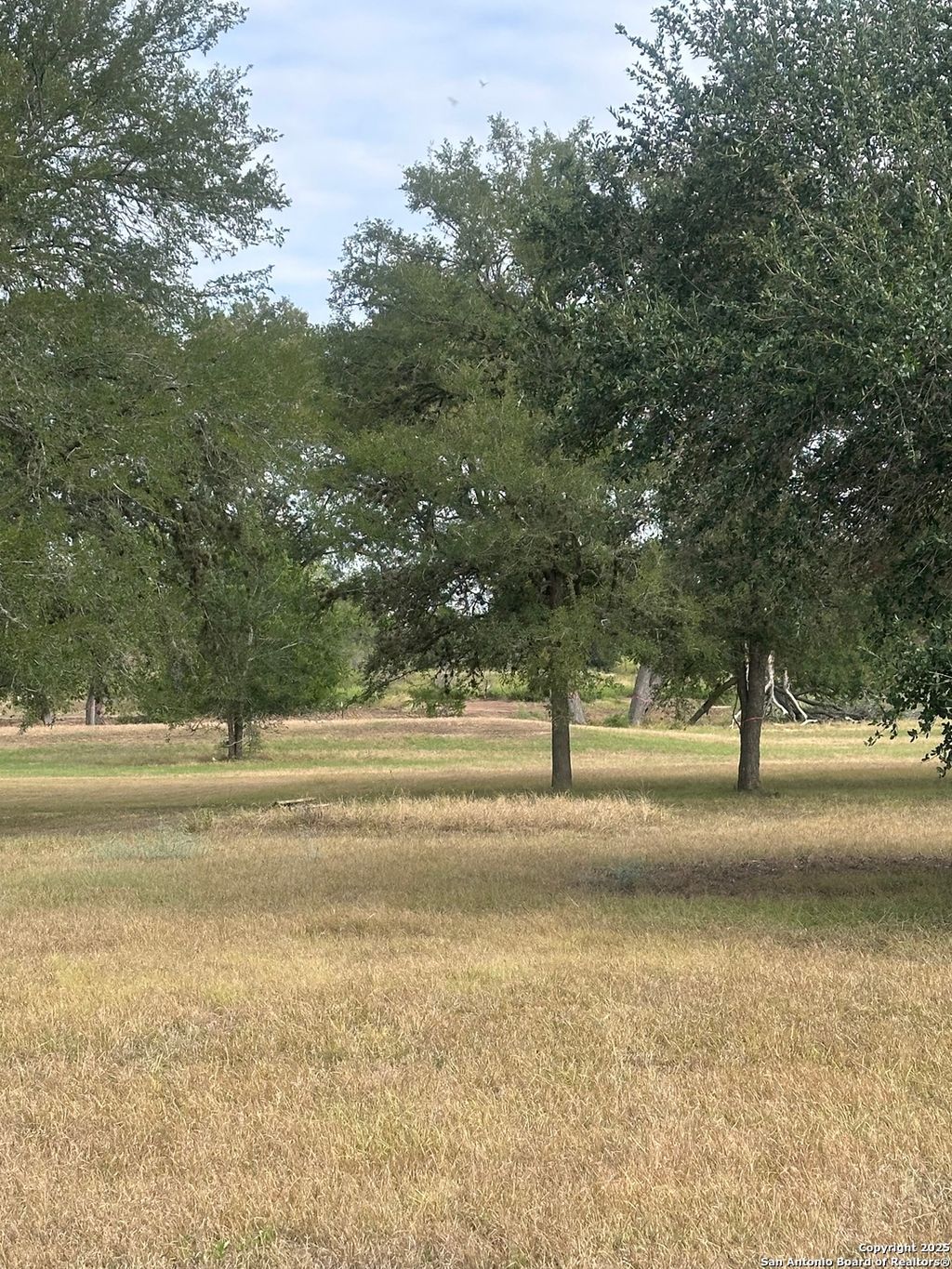 Photo of TBD 0 Fm 725, Seguin, TX 78155 (MLS # 1898922)