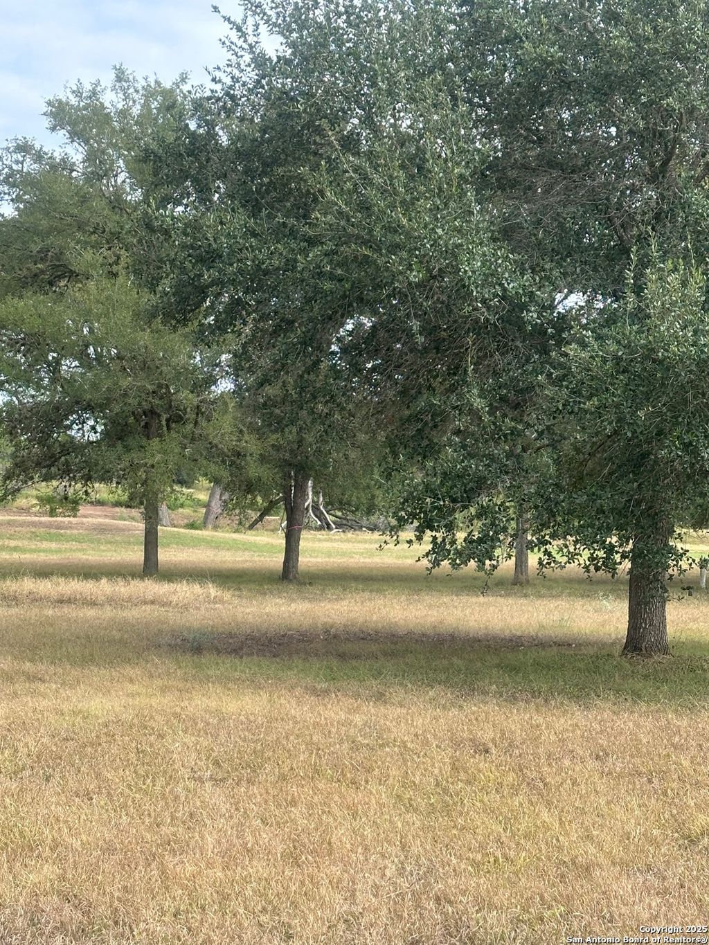 Photo of TBD 0 Fm 725, Seguin, TX 78155 (MLS # 1898922)