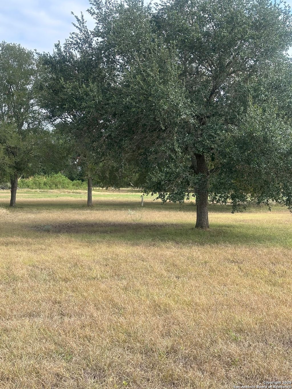 Photo of TBD 0 Fm 725, Seguin, TX 78155 (MLS # 1898922)