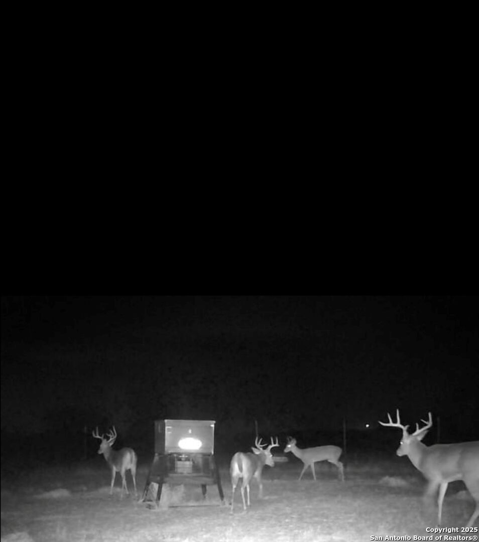 1775 county road 405
