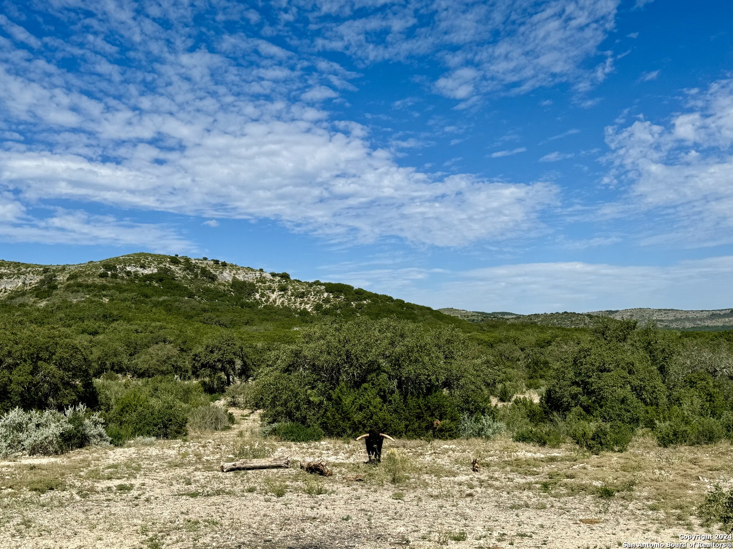 LOT 4B 22819 S. Hwy 55