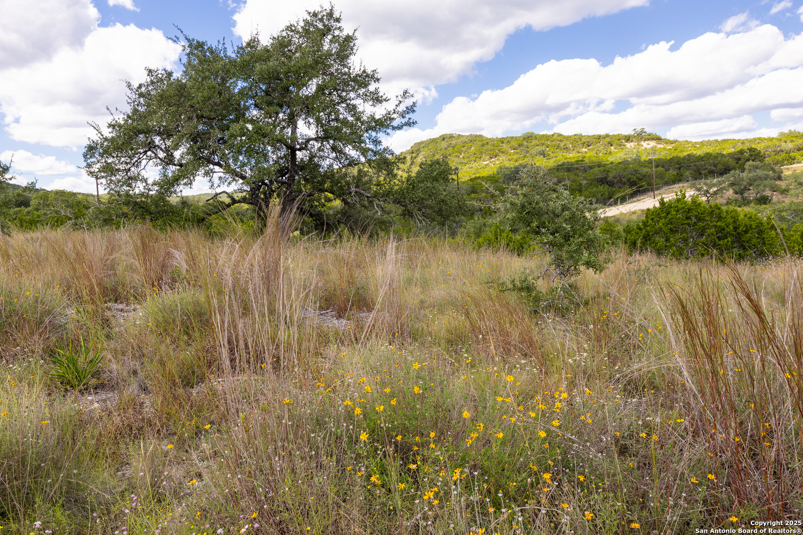 11309 Sloanes Ridge