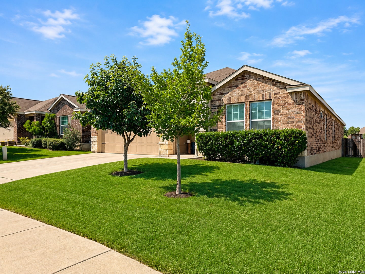 5549 Black Walnut