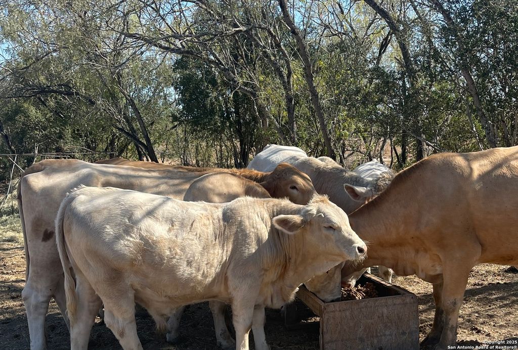 Photo of 000 FM 1346, St Hedwig, TX 78152 (MLS # 1916914)