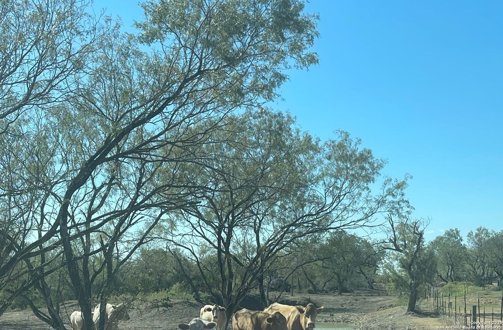 Photo of 000 FM 1346, St Hedwig, TX 78152 (MLS # 1916914)