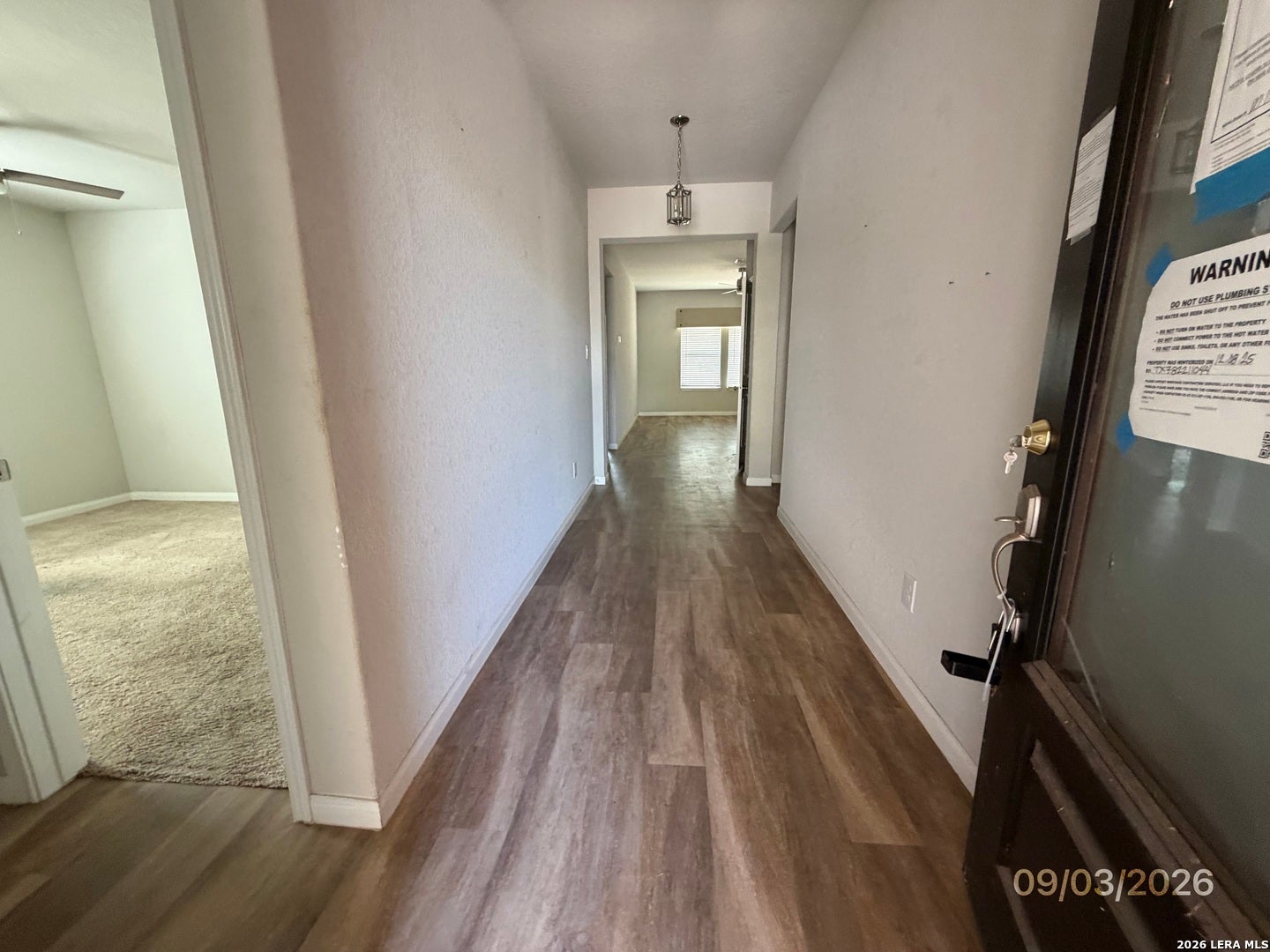 5534 Black Walnut