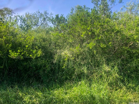 COUNTY RD 619, SKIDMORE, TX 78389 - Image 44f1b88fad7edc68d92ca5b6ff7194e4/100992927