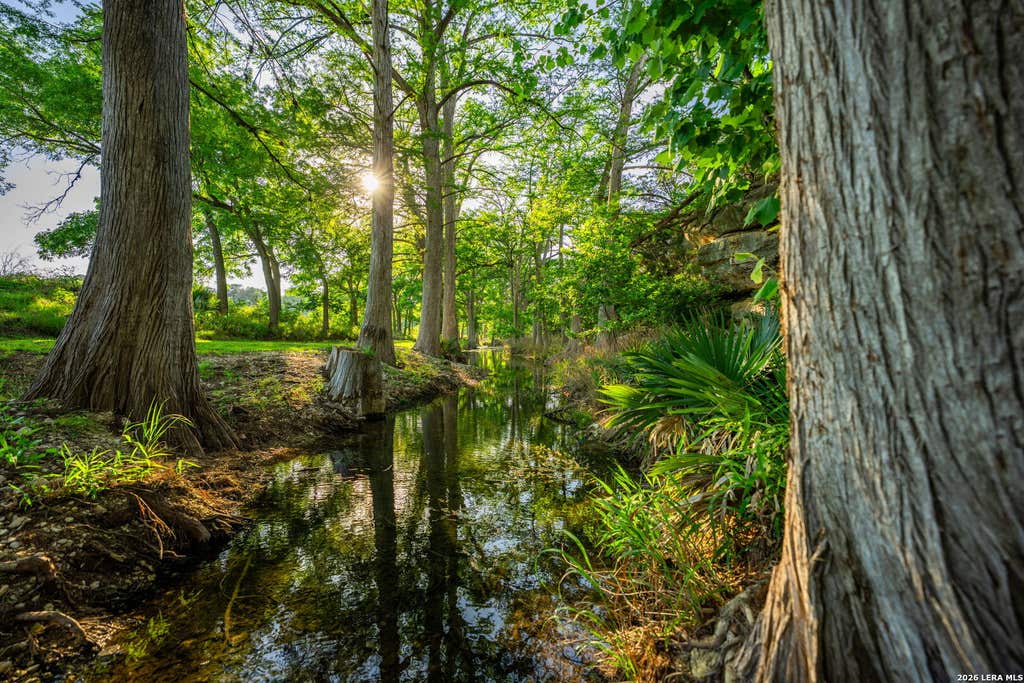 Photo of 190-A Richter Road, Boerne, TX 78006 (MLS # 1972141)