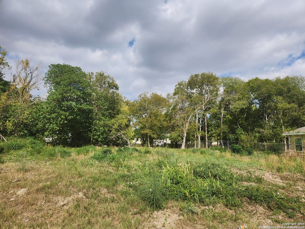 Photo of 907 YUCCA ST, San Antonio, TX 78220 (MLS # 1822850)