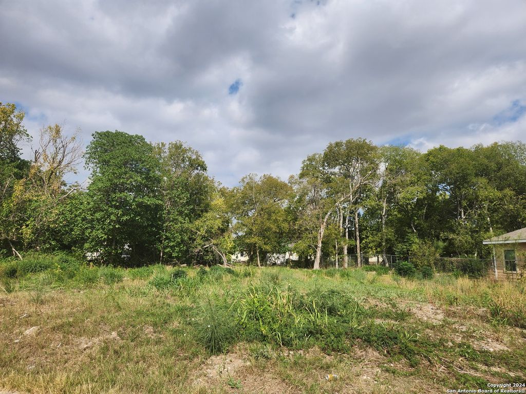 Photo of 907 YUCCA ST, San Antonio, TX 78220 (MLS # 1822850)