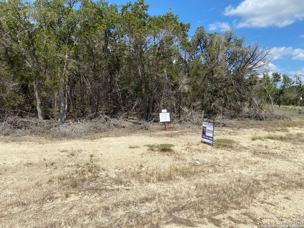 Photo of 644 ANNABELLE AVE, Bulverde, TX 78163 (MLS # 1724361)