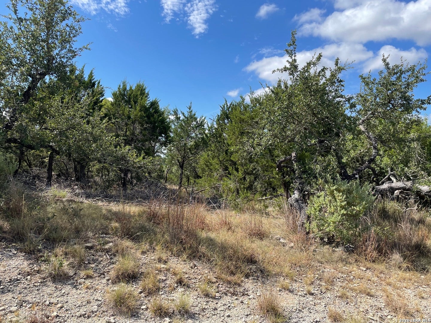 245 Bluebonnet Breeze