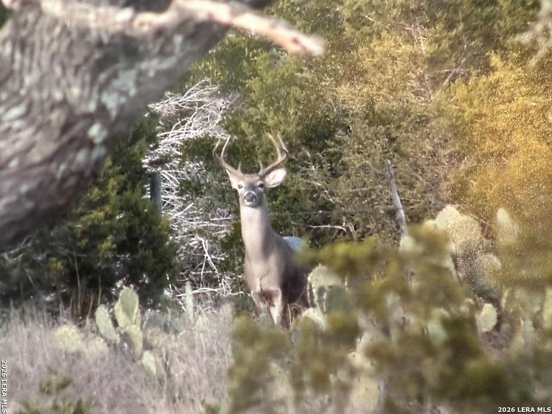 TBD Gallagher Ranch on Park Rd 37