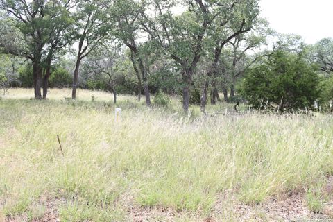 105 Sabella Spring Branch TX 78070