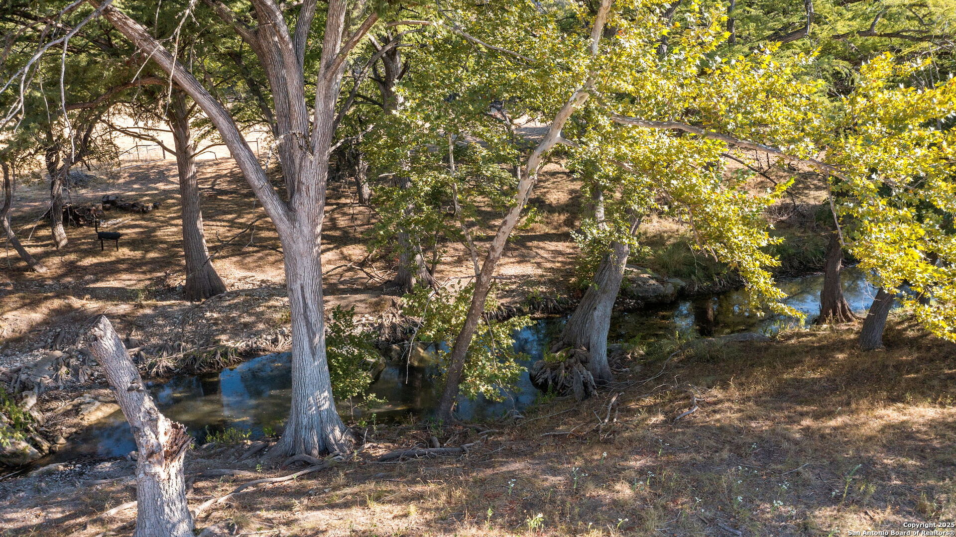 270 Phillip Ranch Rd