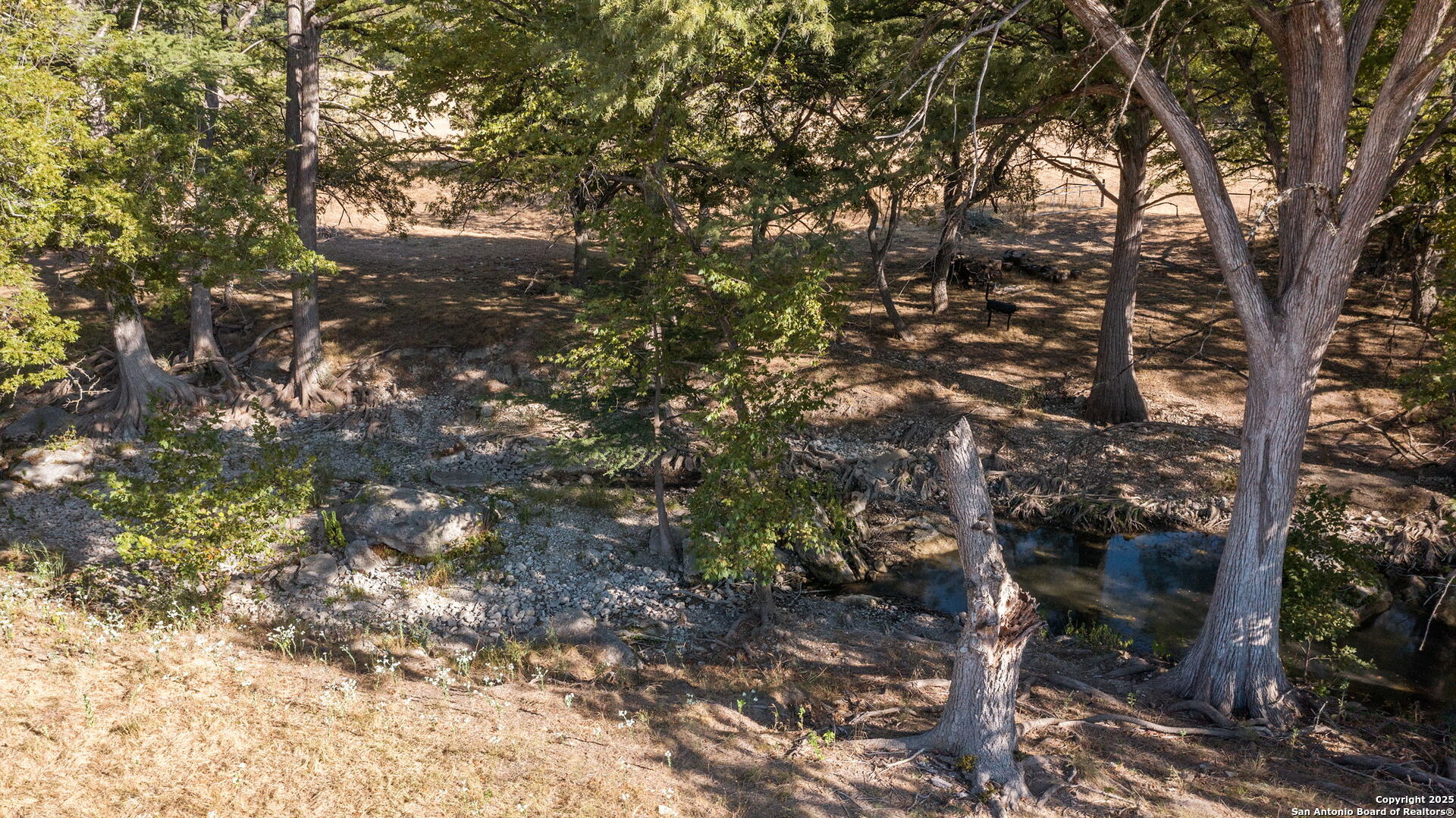 270 Phillip Ranch Rd