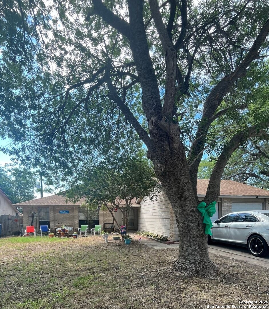 San Antonio, Texas 78247, United States, 2 Bedrooms Bedrooms, ,1 BathroomBathrooms,Residential,Active,185039 San Antonio, Texas 78247, United States, 2 Bedrooms Bedrooms, ,1 BathroomBathrooms,Residential,Active,185039