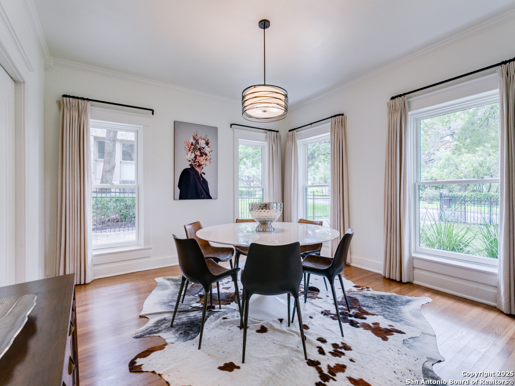 204 Parklane