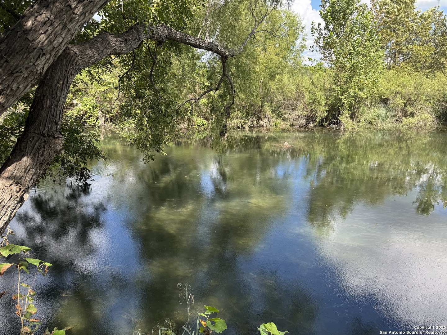 1559 County Road 414