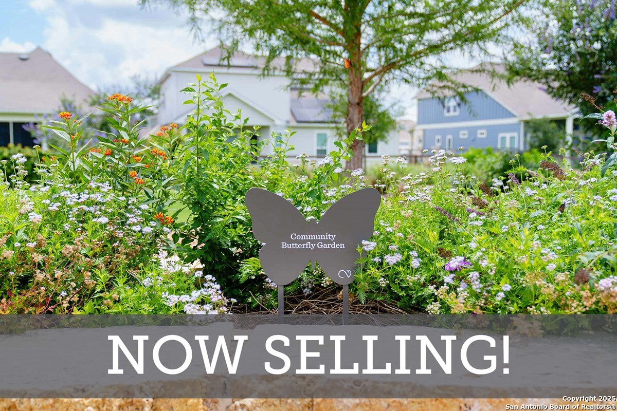 8101 Wellstone