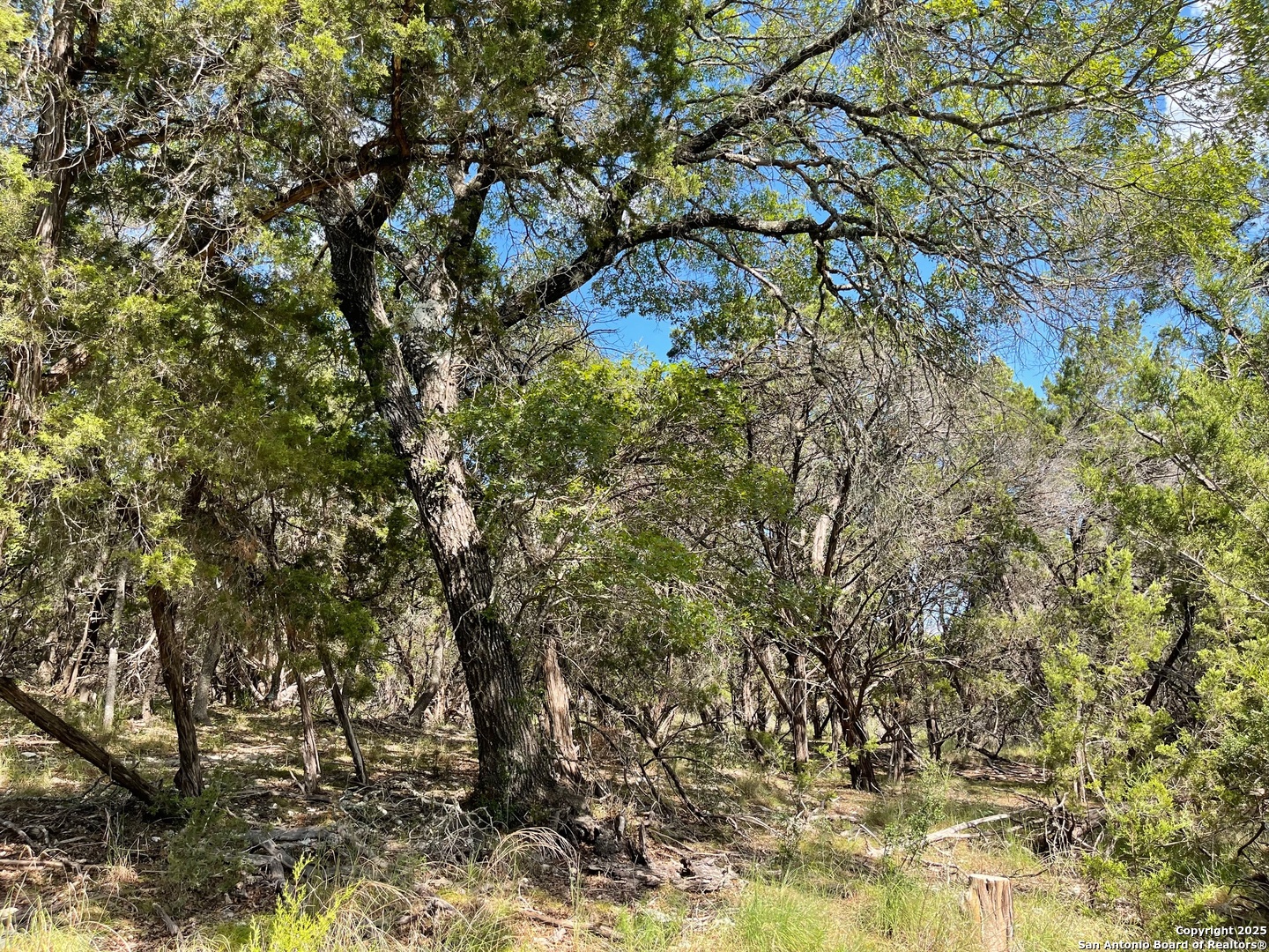 Photo 1 of 10 — LOTS 1-7 PARK ROAD 37, Lakehills, TX 78063