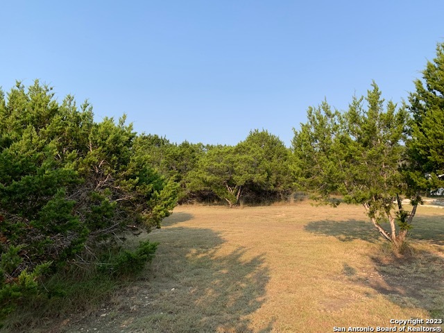 Canyon Lake, Texas 78133, United States, ,Land,Active,72912