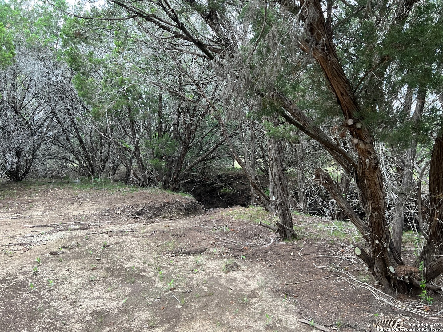 Canyon Lake, Texas 78133, United States, ,Land,Active,72912