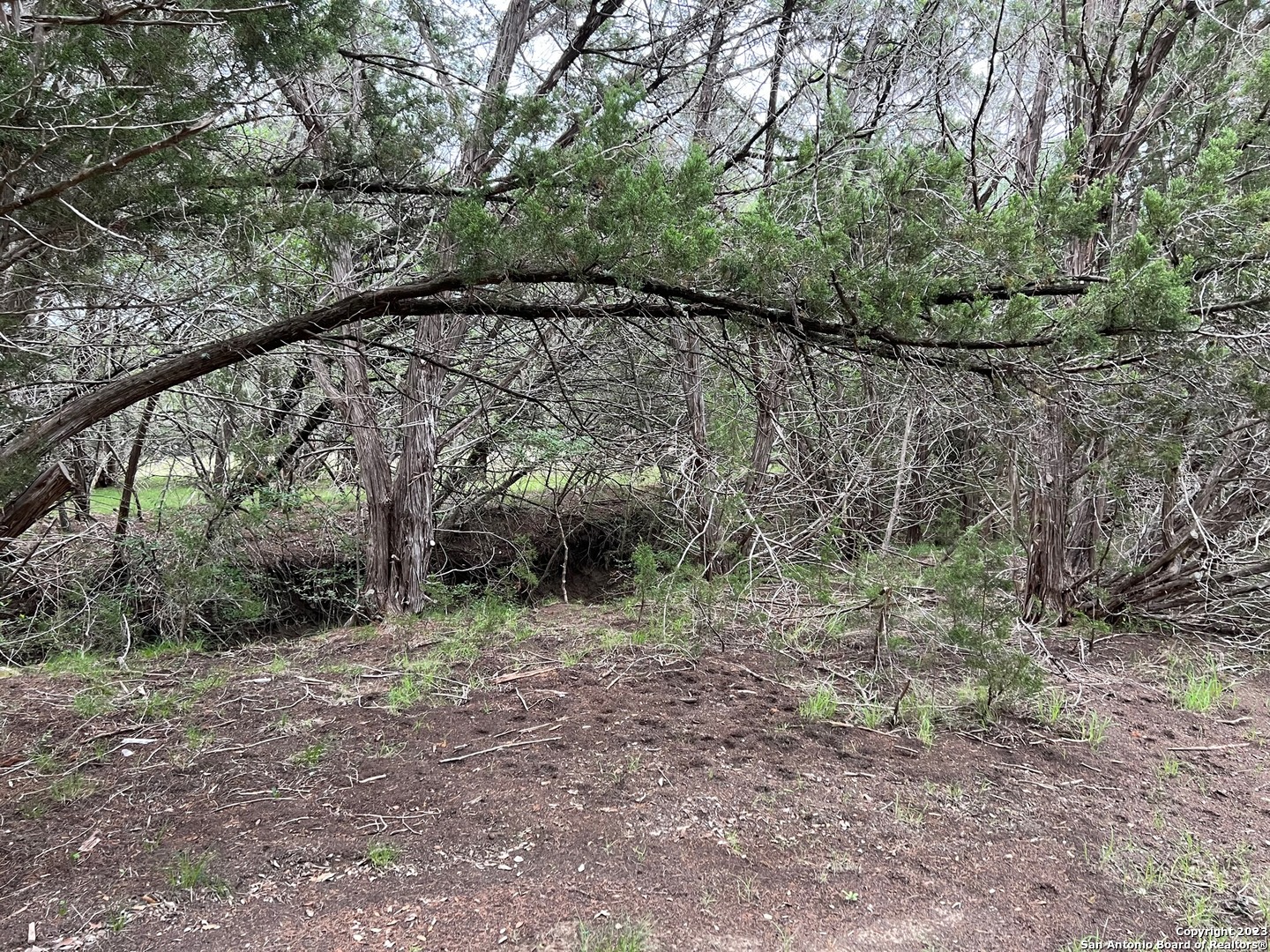 Canyon Lake, Texas 78133, United States, ,Land,Active,72912