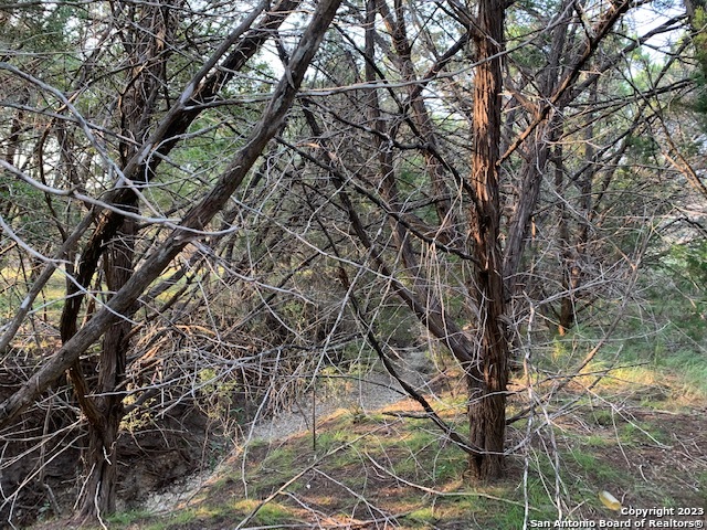 Canyon Lake, Texas 78133, United States, ,Land,Active,72912